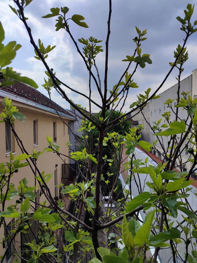 Centar Novi Sad-Apartman No 3 Εξωτερικό φωτογραφία