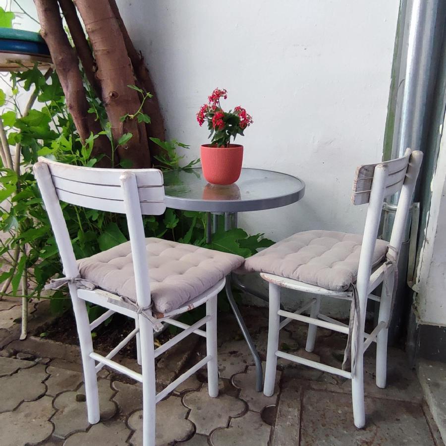 Centar Novi Sad-Apartman No 3 Εξωτερικό φωτογραφία