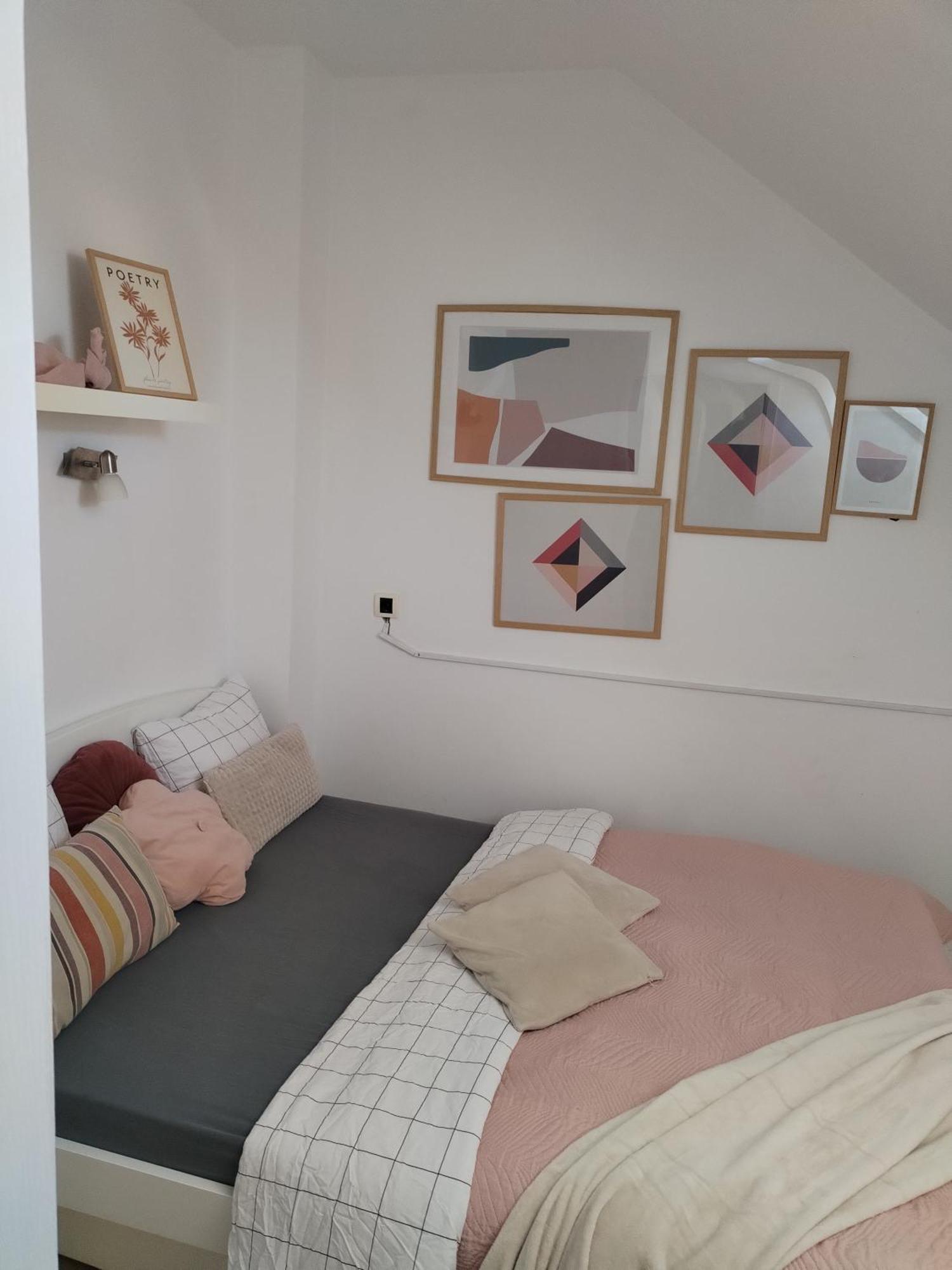 Centar Novi Sad-Apartman No 3 Εξωτερικό φωτογραφία